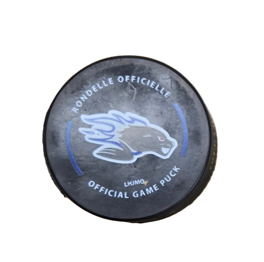 Hockey puck with Saint John Seadogs branding 