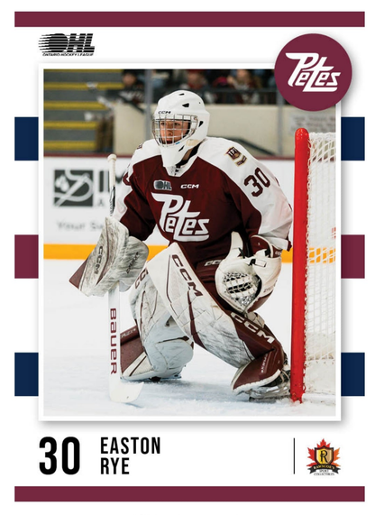 Easton Rye 2024-25 goalie pads